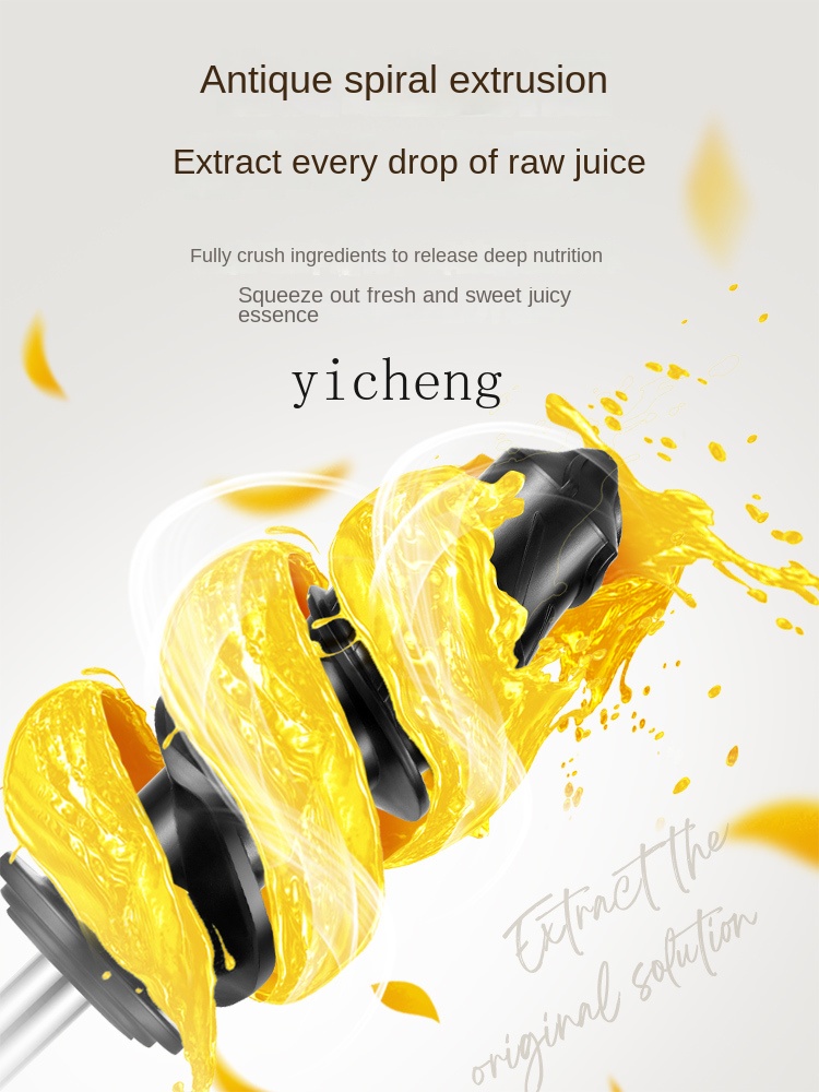 Juicer - cc28 Düşük Hızlı Meyve Sıkacağı Meyve