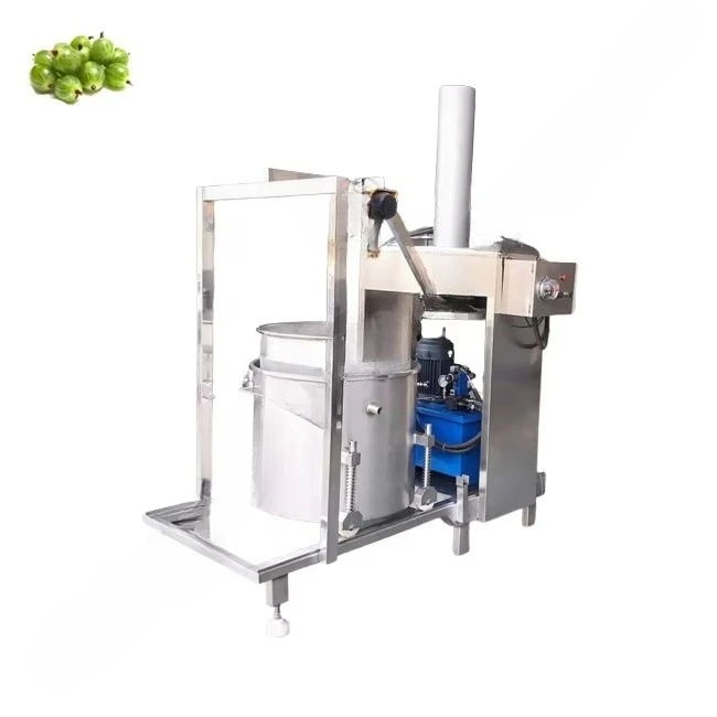 Endüstriyel hidrolik şarap pre - Juicer incelemesi ve fiyatı